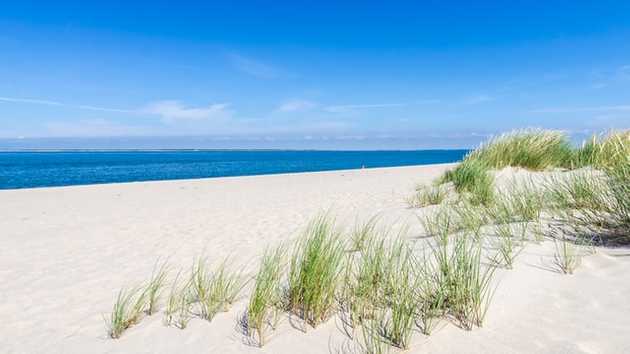 A photo of beach of List Sylt